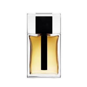 236 inspiriert von DIOR - HOMME Inspired Image