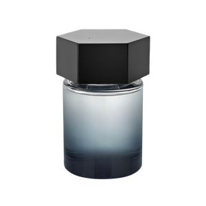 293 inspiriran po Y.S. LAURENT - L'HOMME LIBRE Inspired Image